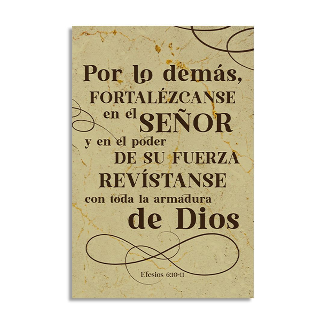 "EFESIOS 6:10-11" cuadro decorativo